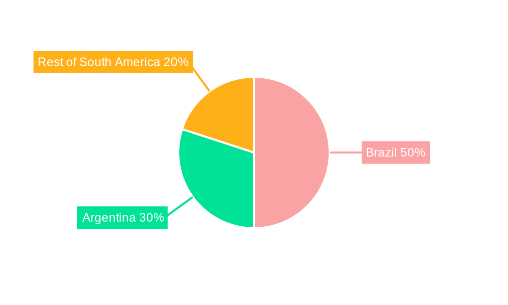 South America Oil And Gas Hoses And Coupling Market Market Share by Region - Global Geographic Distribution