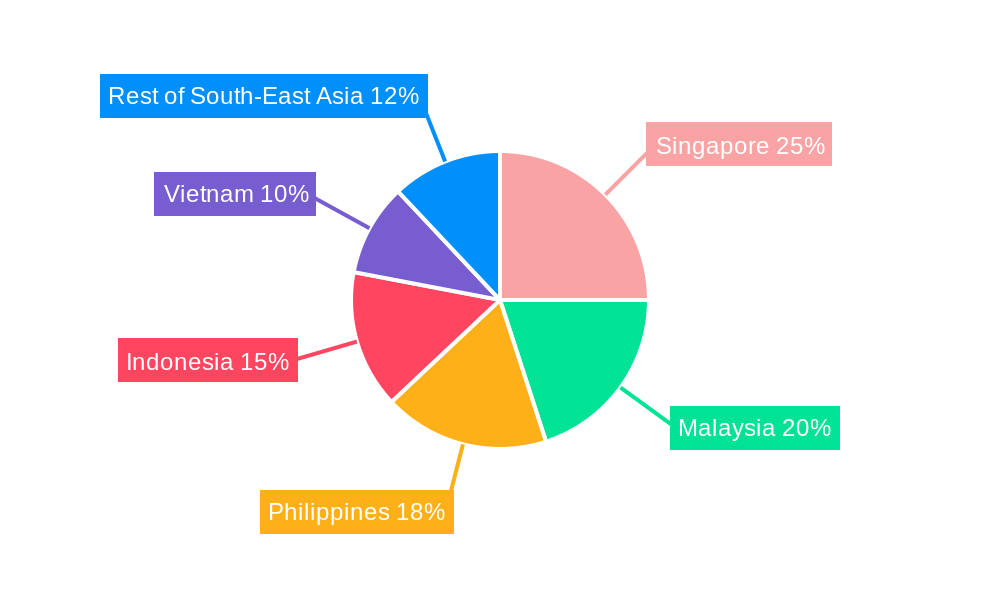 South-East Asia Aviation Infrastructure Market Market Share by Region - Global Geographic Distribution