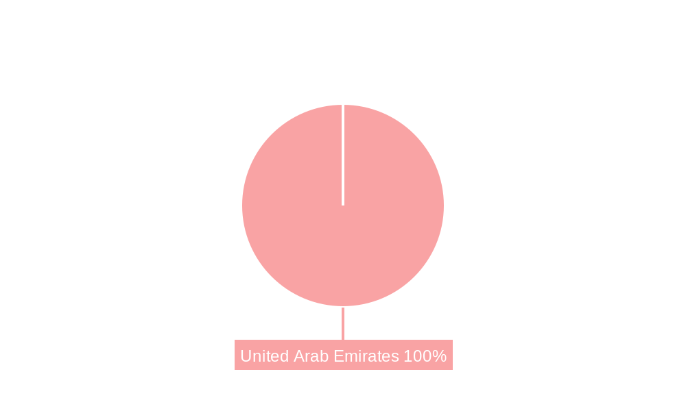 United Arab Emirates Power EPC Market Market Share by Region - Global Geographic Distribution