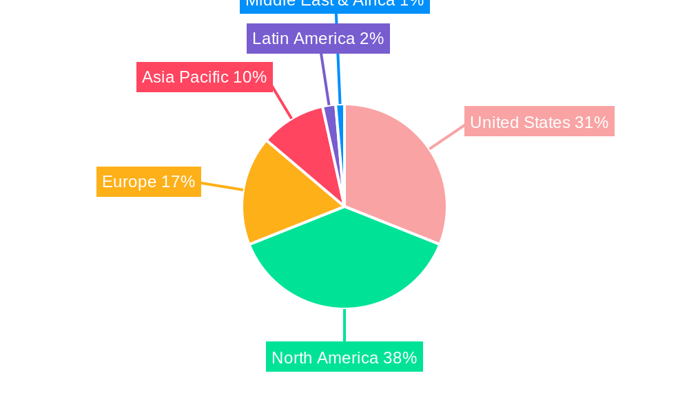 United States Adhesives Market Market Share by Region - Global Geographic Distribution